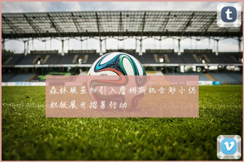 森林狼虽知引入詹姆斯机会渺小仍积极展开招募行动